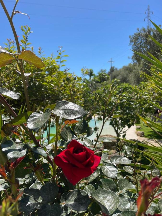 Il Primo Fiore Noto Exterior foto
